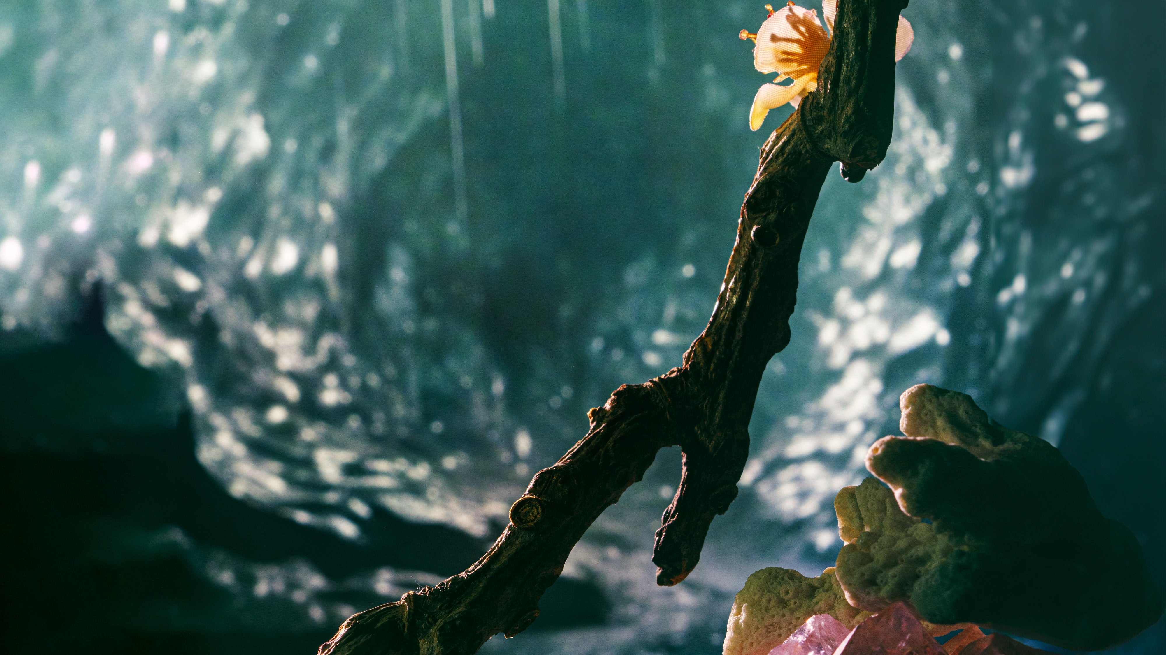 Eine kleine Figur mit gelbem Umhang sitzt auf einem Ast vor einer magisch schimmernden Höhlenlandschaft.