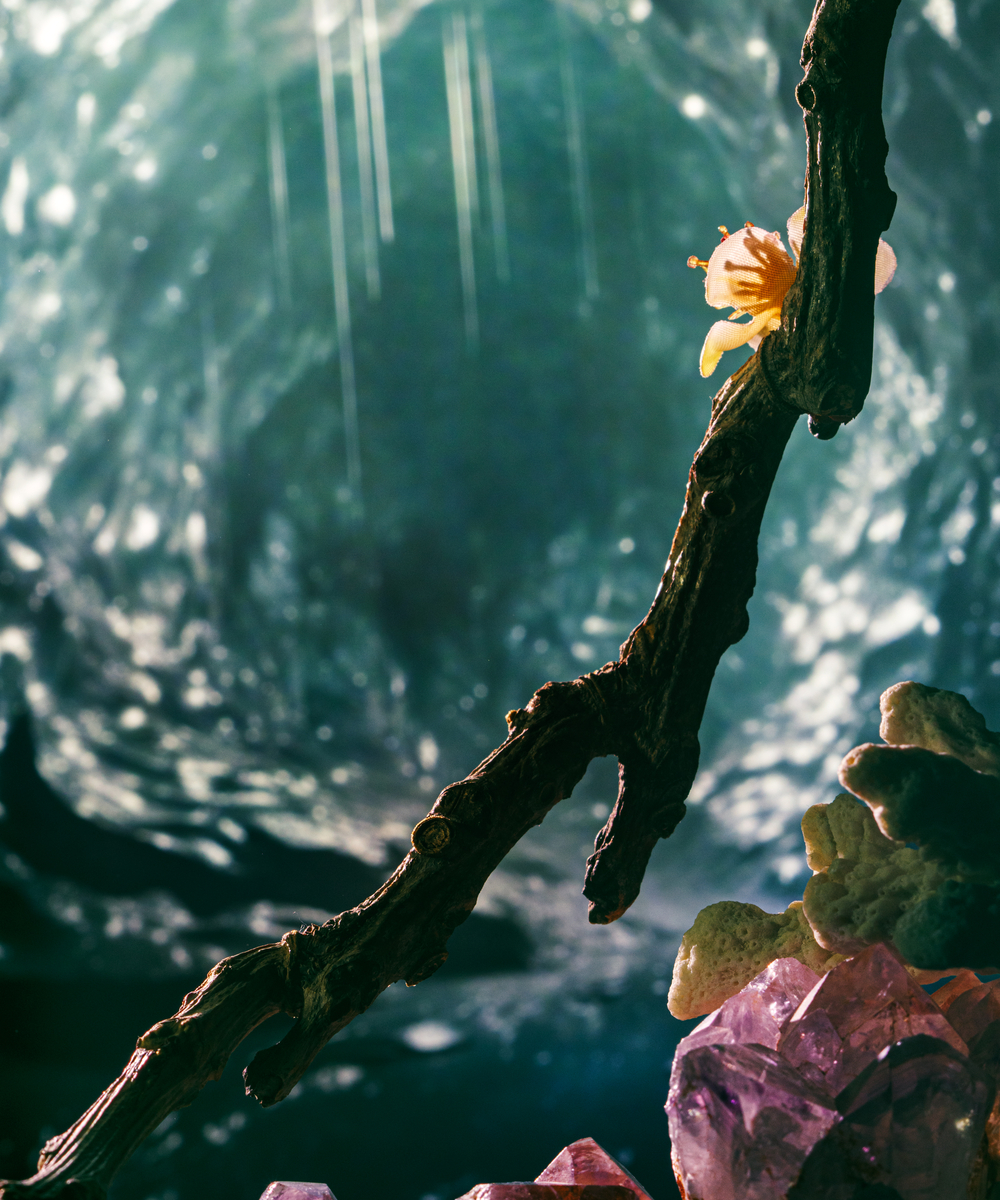 Eine kleine Figur mit gelbem Umhang sitzt auf einem Ast vor einer magisch schimmernden Höhlenlandschaft.