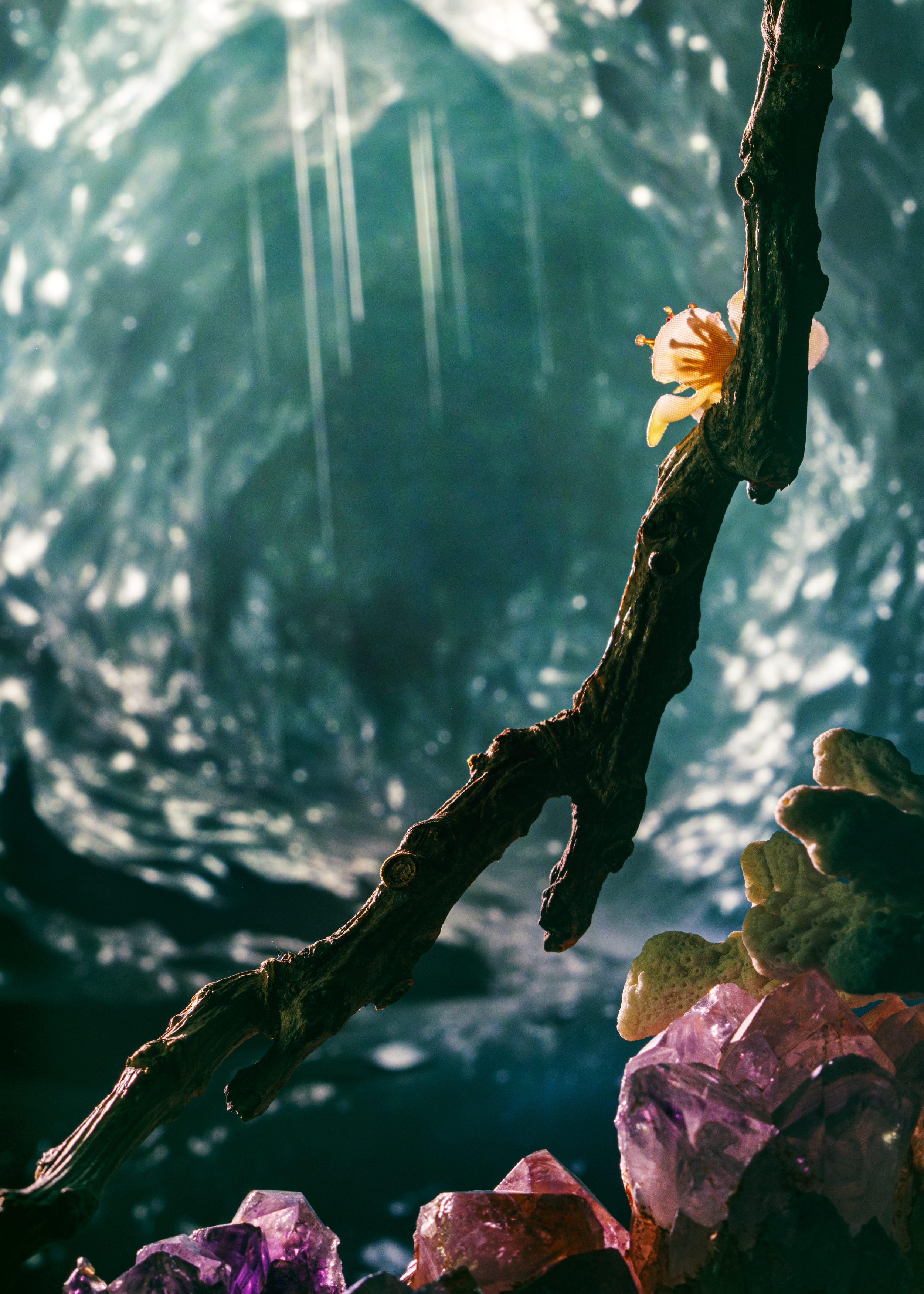 Eine kleine Figur mit gelbem Umhang sitzt auf einem Ast vor einer magisch schimmernden Höhlenlandschaft.