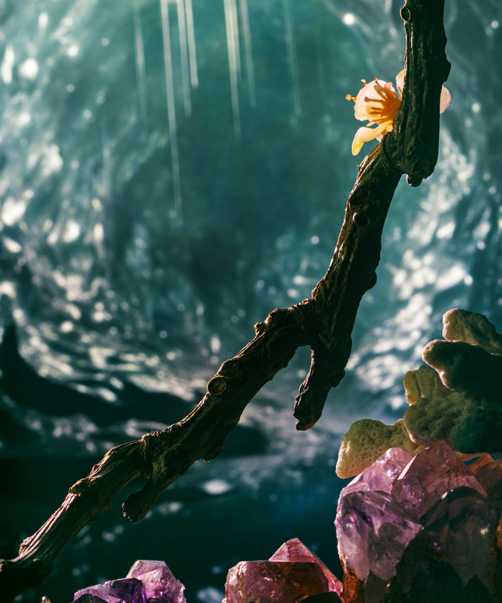 Eine kleine Figur mit gelbem Umhang sitzt auf einem Ast vor einer magisch schimmernden Höhlenlandschaft.